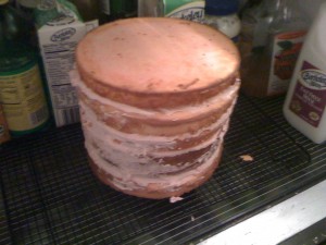6 layers of cake
